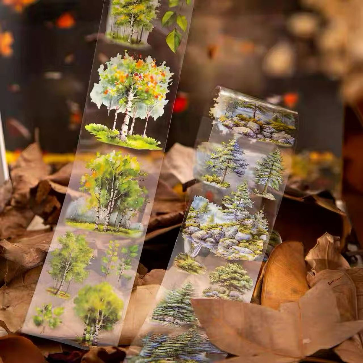 Seasonal Forest PET Tape