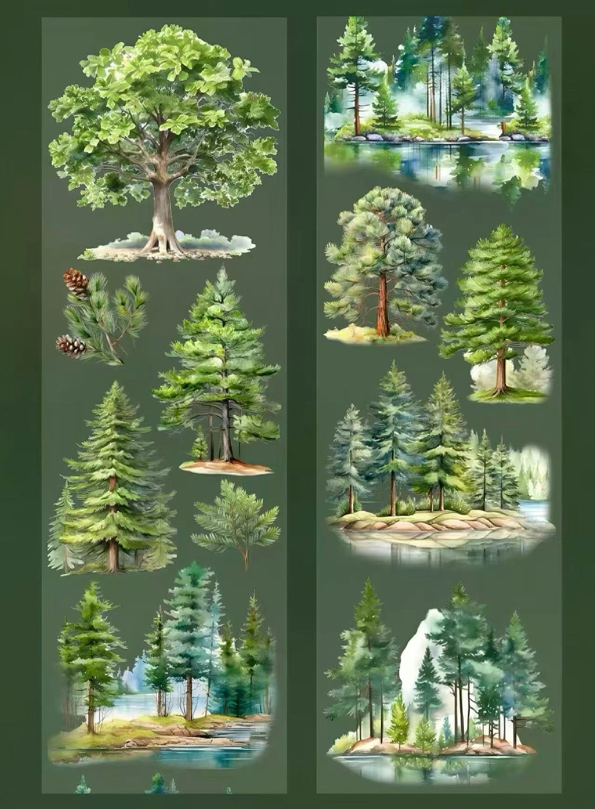 Seasonal Forest PET Tape