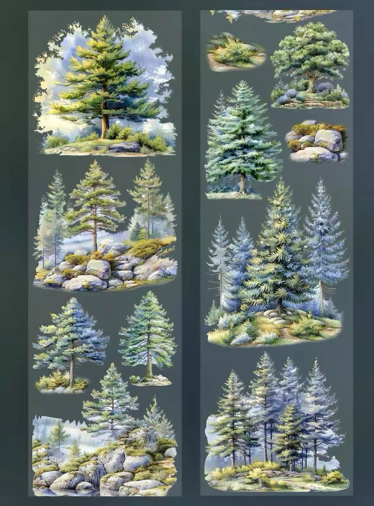 Seasonal Forest PET Tape
