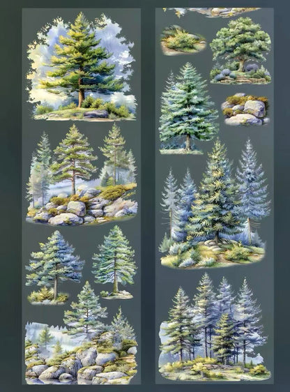 Seasonal Forest PET Tape