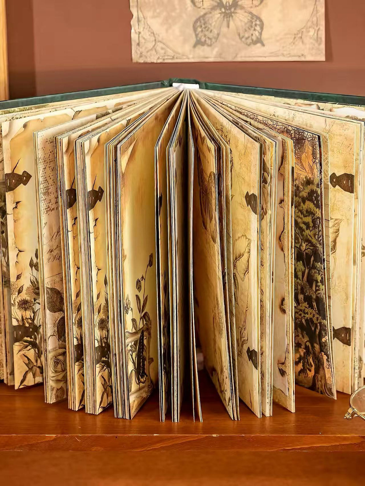 Vintage Botanical Journal