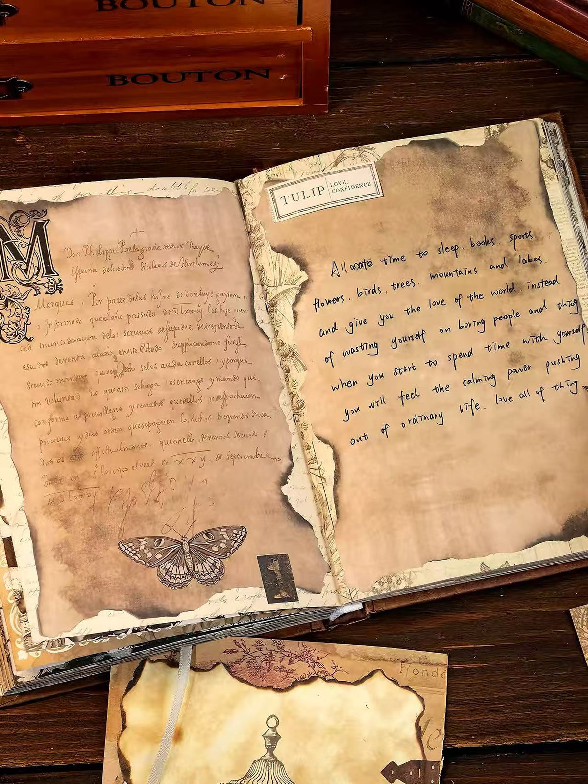 Vintage Botanical Journal