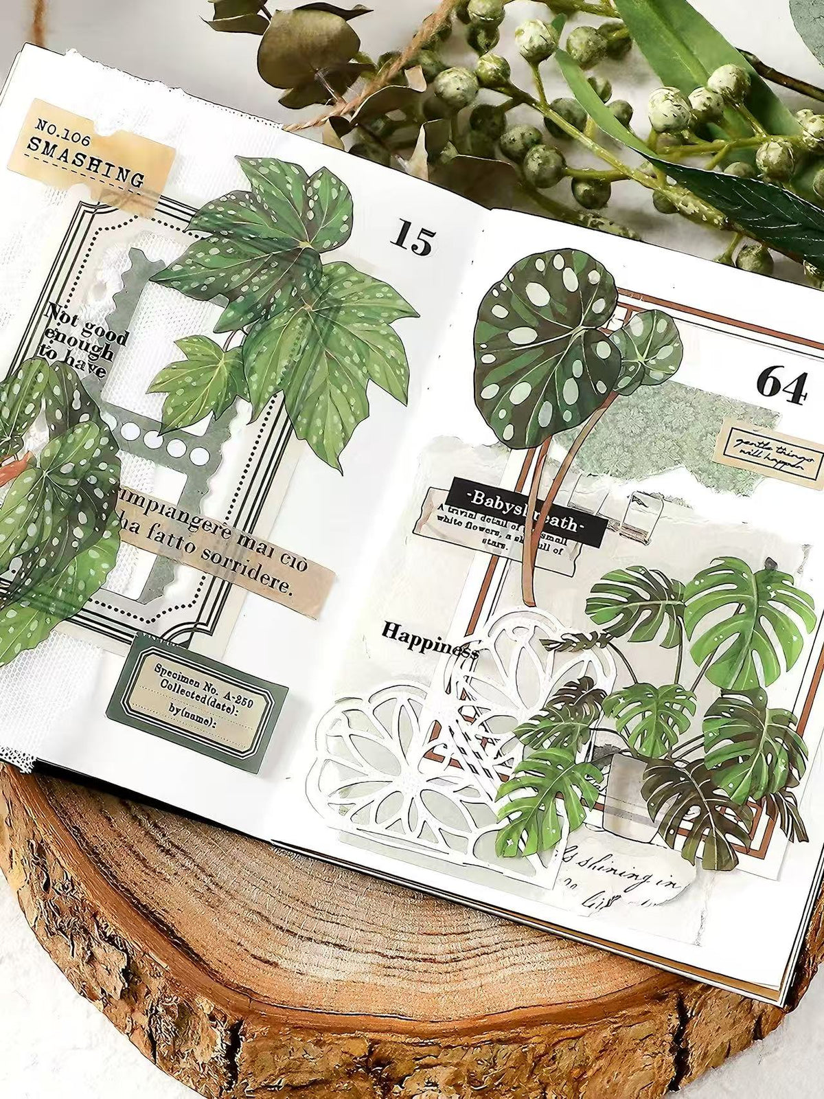 Green Plant PET Sticker