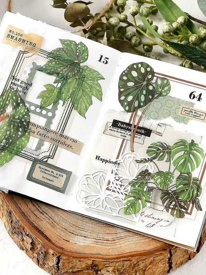 Green Plant PET Sticker