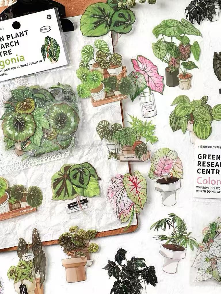 Green Plant PET Sticker