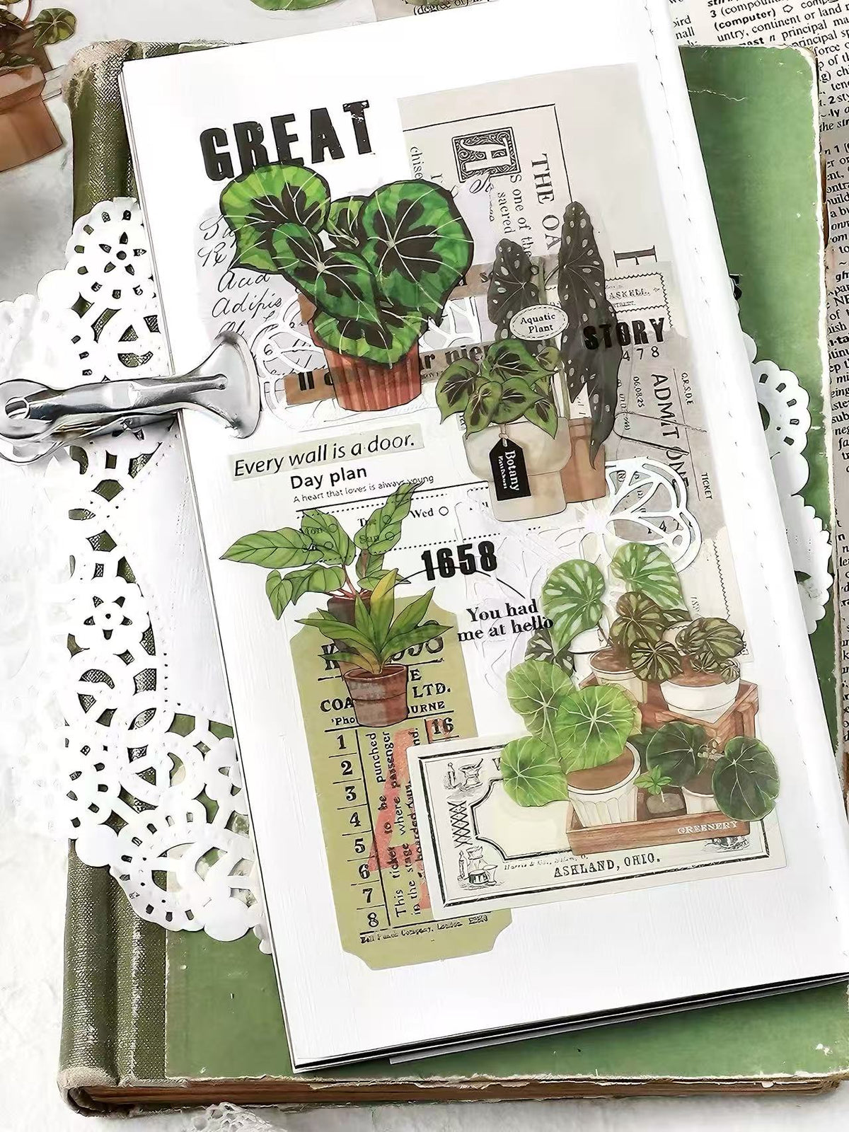Green Plant PET Sticker