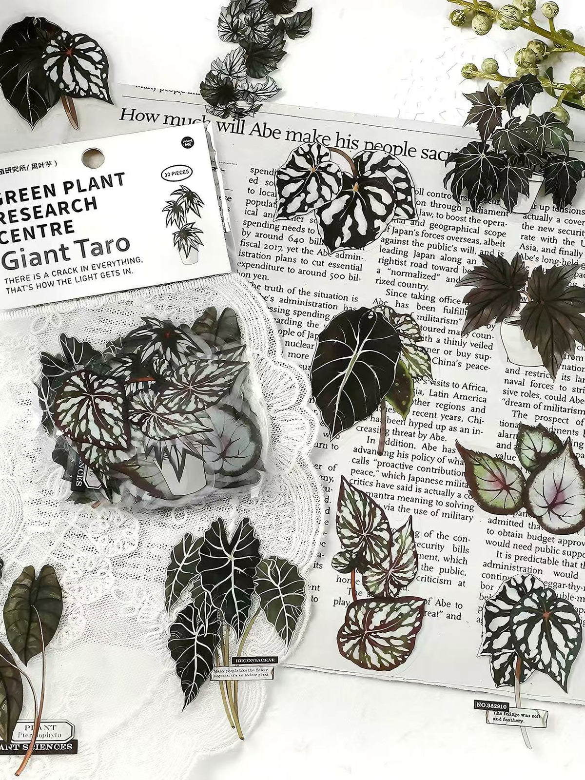 Green Plant PET Sticker