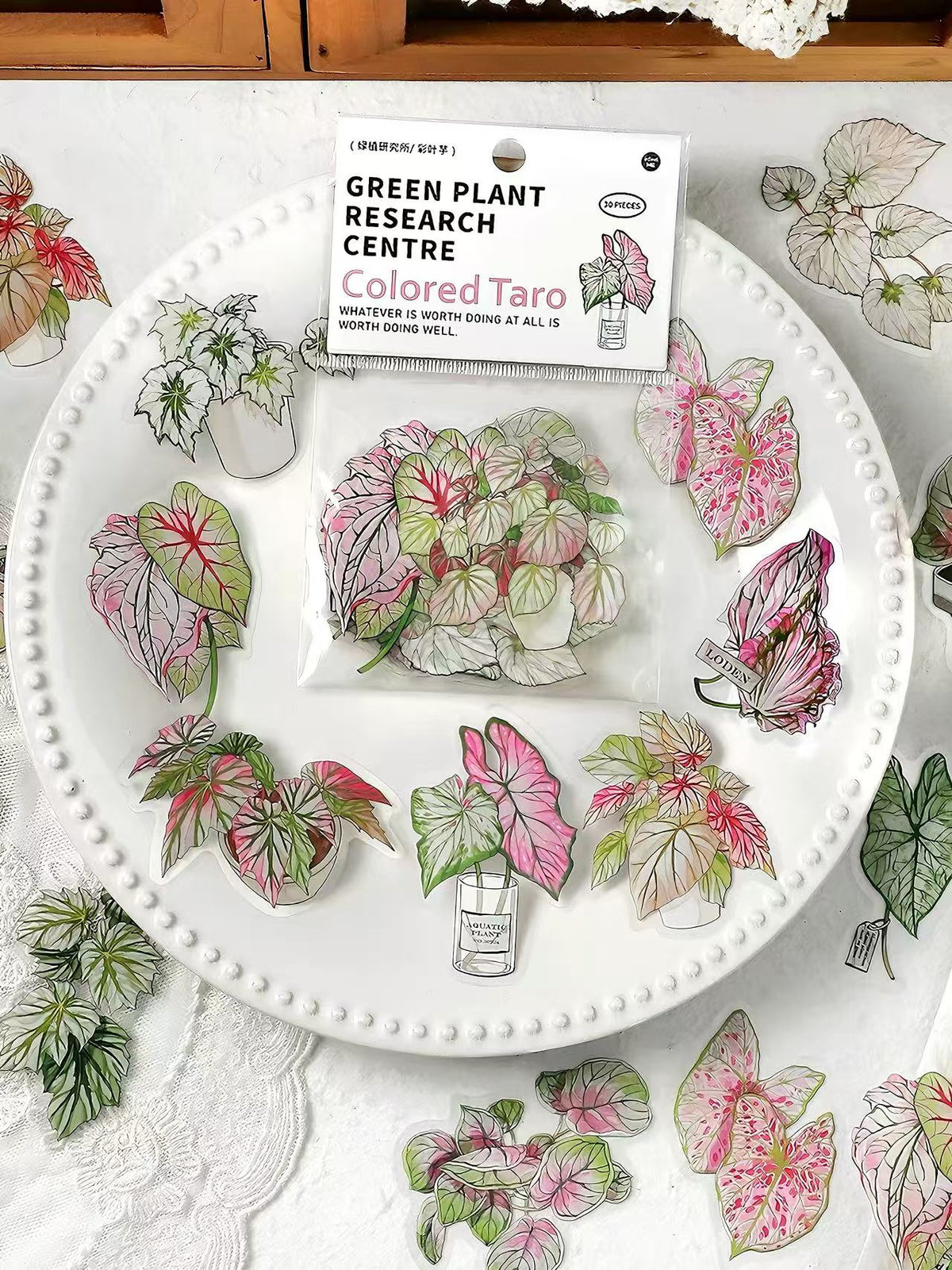 Green Plant PET Sticker