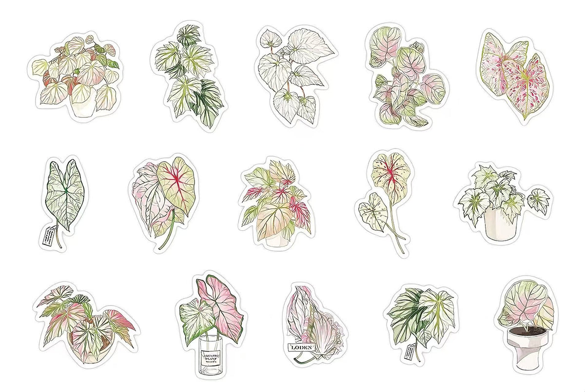 Green Plant PET Sticker