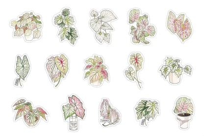 Green Plant PET Sticker