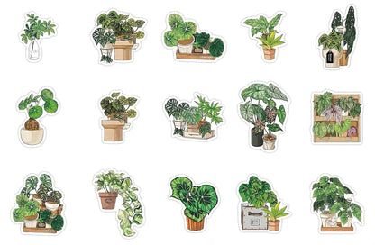 Green Plant PET Sticker