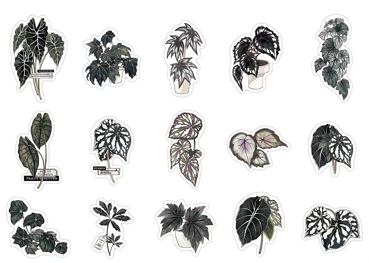 Green Plant PET Sticker