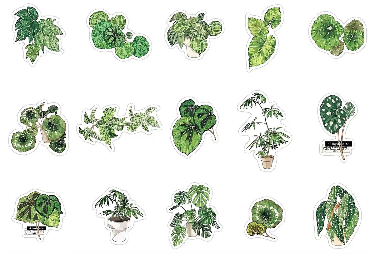 Green Plant PET Sticker